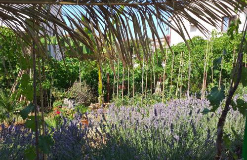 Levak Apartments - Apt.3 - Photo 35