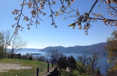 Il Ciliegio Selvatico - Foto 14