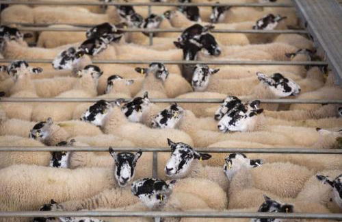 The Loft at Scalford House - Photo 6