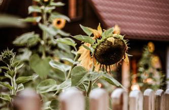 Kaszubski Dom Podcieniowy Bohema - Foto 32