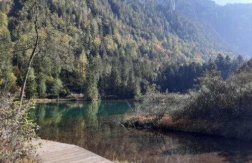 Superior Suite Bergparadies Sauna - barrierfree - Photo 25