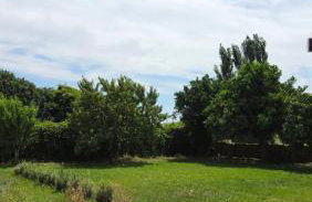 Pátio da Eira, Country House - Foto 17