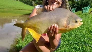 Celeiro azul - Foto 2