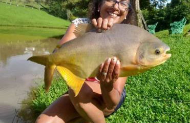 Celeiro azul - Foto 2