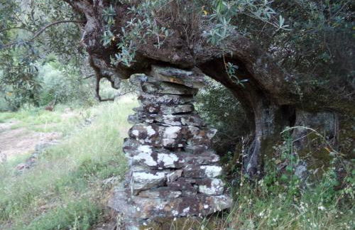 Casas dos Carregais - Foto 38