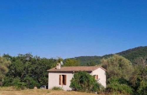 House 300m river 9kms Grasse 30mn Nice Cannes - Foto 47