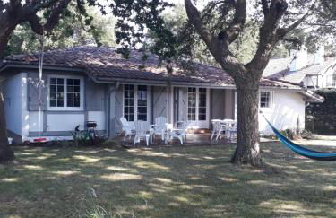 Les 3 meninos - Foto 3