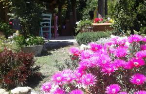 Mare Colline Città d'Arte - Foto 29