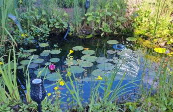 Ferienwohnung am Viaduktweg Familie Roman - Foto 27