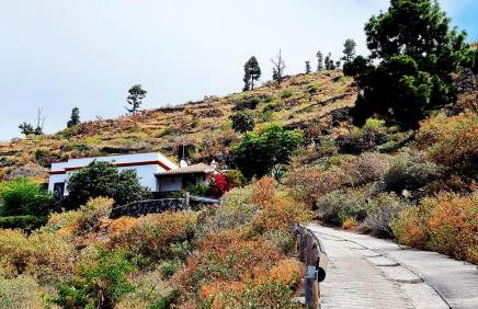 El Níspero - Foto 10