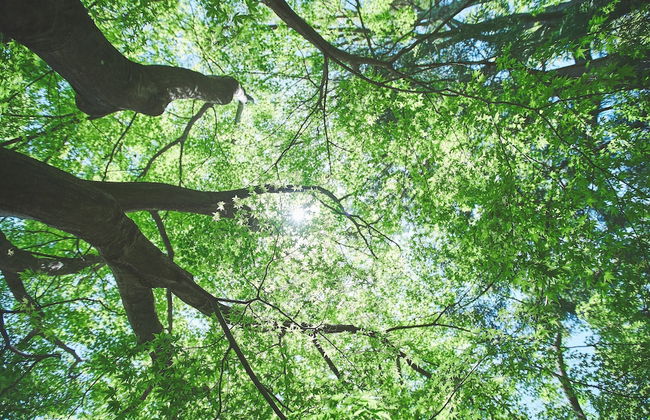 VILLA SAISON FUJI - Foto 74