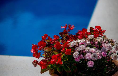 Apartments Dalia - Foto 44