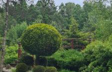 Sowi Dworek - Foto 9