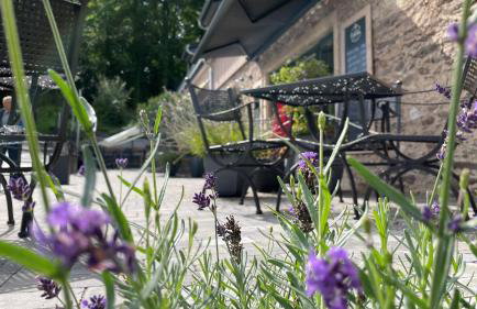 Café Ilse - Ferienwohnungen - Foto 40