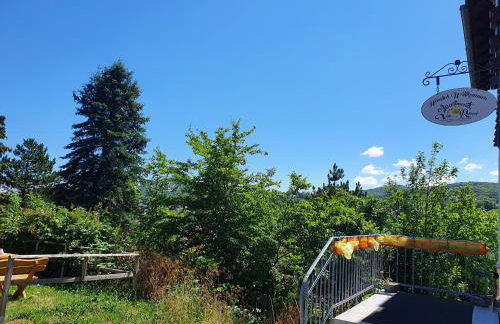 Apartments Villa-Ratskopf Wernigerode - Photo 113