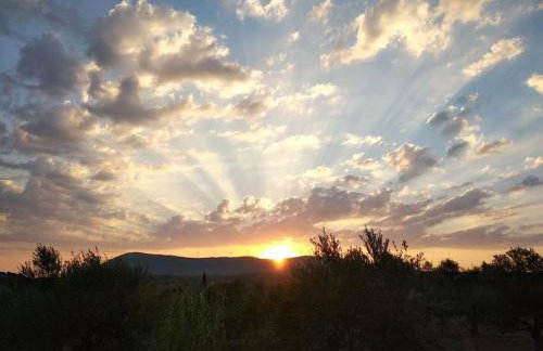Το Σπίτι της Ελιάς - Foto 20