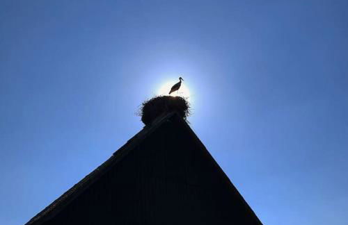 Fachwerk-Fischerhaus an Elbe und Aland - Foto 33