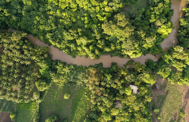 The River House Dambulla by The Serendipity Collection - Foto 21