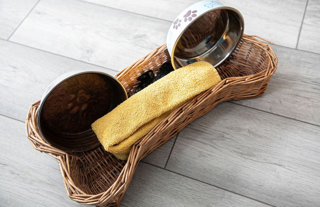 Pippin Cottage in Salcombe - Foto 14