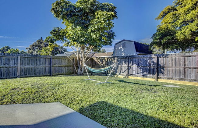 Happy Gecko - Foto 24