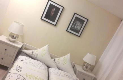 Wohnung mit Terasse im Schwarzwald - Foto 4