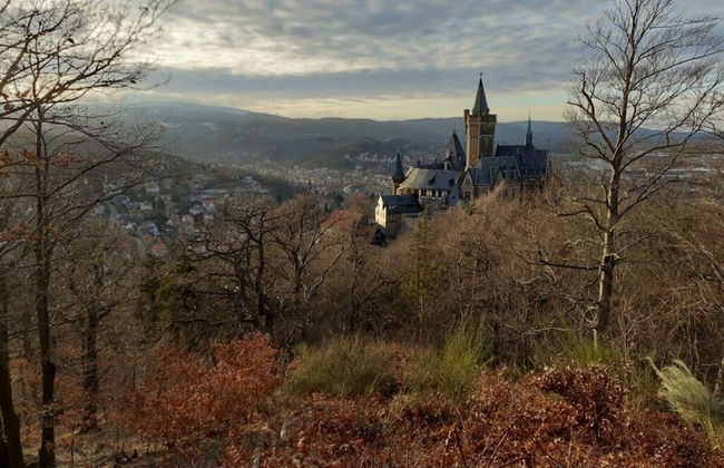 Holiday Home in the Large Garden - Foto 21