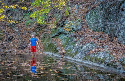Overlook at Sleepy Creek -- Sleepy Creek Frontage, Secluded, Grill, Fire Pit, Deck, Family Friendly, Game Room, Fishing, Hammock, View, Fireplace - Foto 73