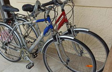 Maisonnette calme avec jardinet - Photo 4