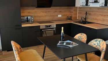 ANER2 STYLISCHE Ferienwohnung mit Sauna in Dresden Weißer Hirsch - Foto 5