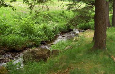 Ferienwohnung Reifberg - Photo 39