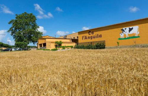 Turisme Rural Ca l,Anguila - Foto 10