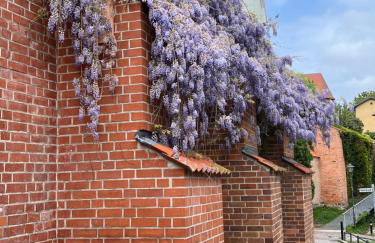 Ferienwohnung an der historischen Stadtmauer - Foto 15