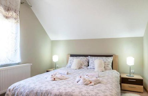 Lovely Home In Novo Zvecevo With Sauna - Foto 24