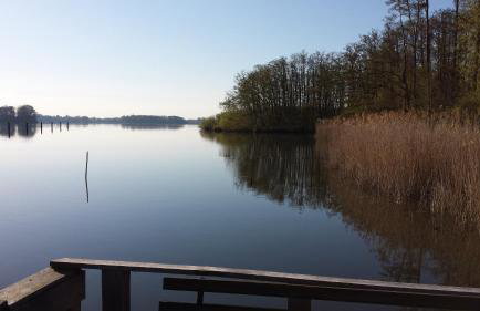 Ferienappartement Müritzkoje - Foto 13