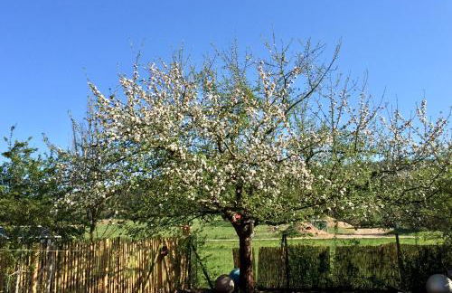 Tinyhouse Bamberg - Foto 17