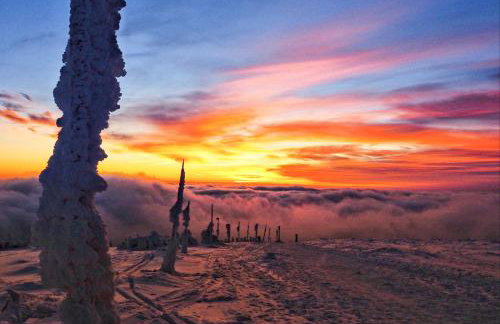 Apartament Hutnicza - Foto 31