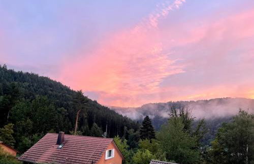 Cozy apartment with a Black Forest view - Foto 11