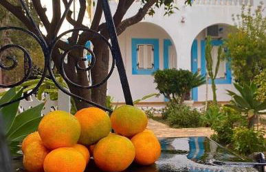 EFFIE'S STUDIOS - Foto 26