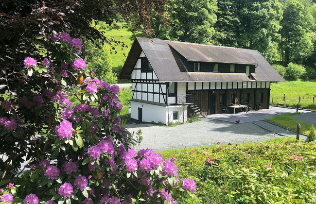 Large House in Winterberg in the Sauerland Region - Foto 66