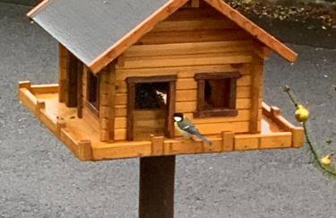 Ferienwohnung Fliederweg - Foto 12