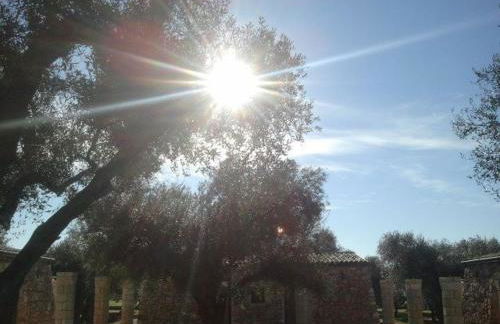 Tenuta Serre - Foto 17