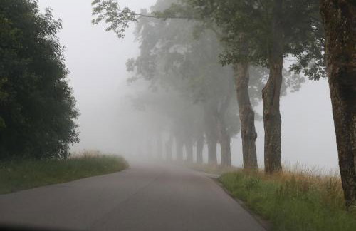 Słowińskie Widoki domki Flora, Fauna, noclegi Smołdziński Las - Foto 51