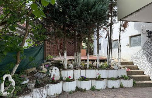 Apisha Apartment 4 - Foto 2