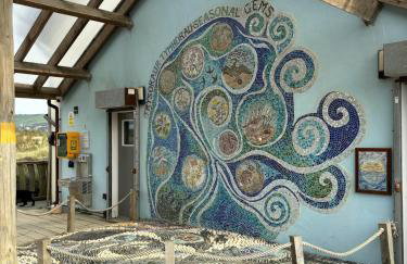 Little Curlew, Ynyslas, Borth - Foto 30