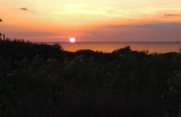 Tzanetos Seaside - Foto 10