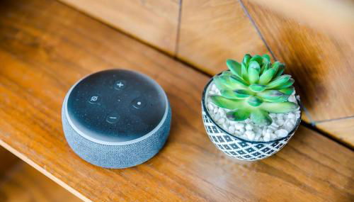 Eagle Rock Base Camp - Foto 5, Other