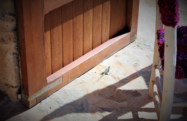 Siamo Bella - Foto 14