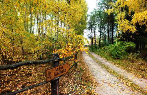 Sumówko Leśne Siedlisko - Foto 24