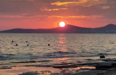 S&M Cozy Garden Lagonissi - Photo 44