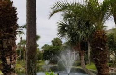 Island Life - Foto 4